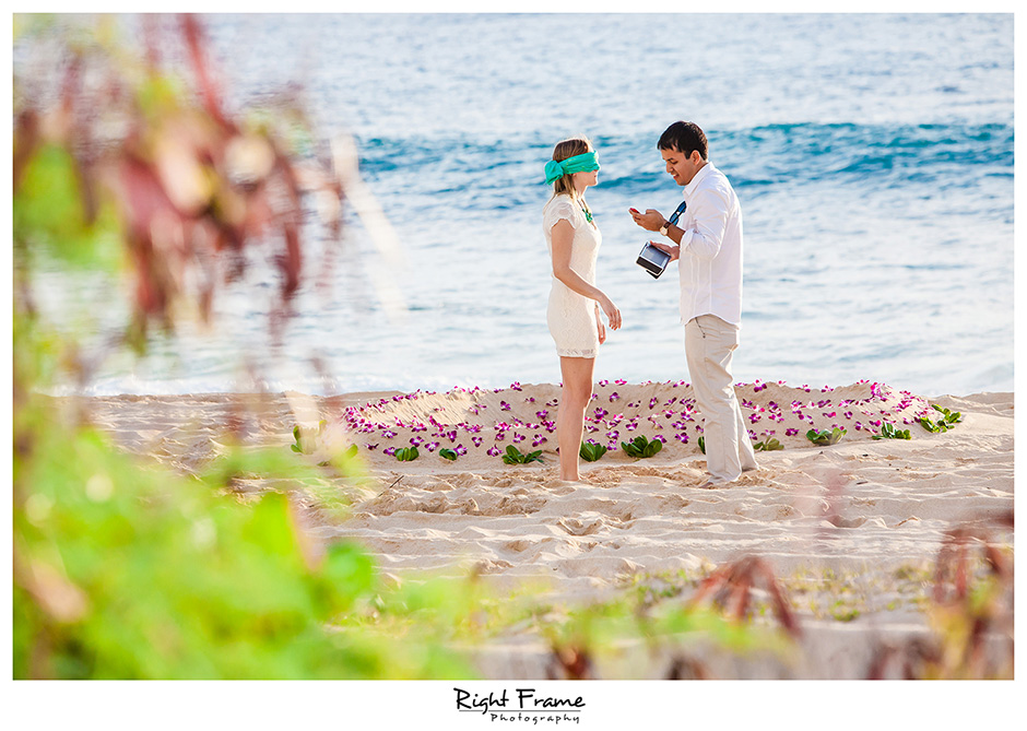 005_oahu engagement photographer
