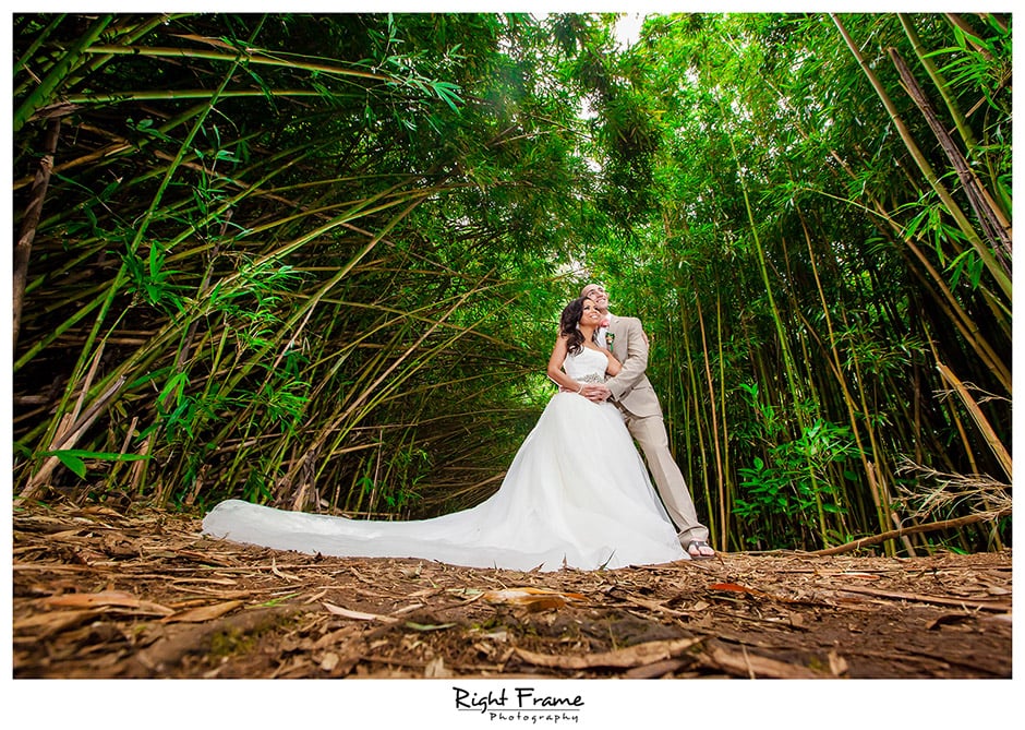 Waterfall Bamboo Forest by RIGHT FRAME PHOTOGRAPHY