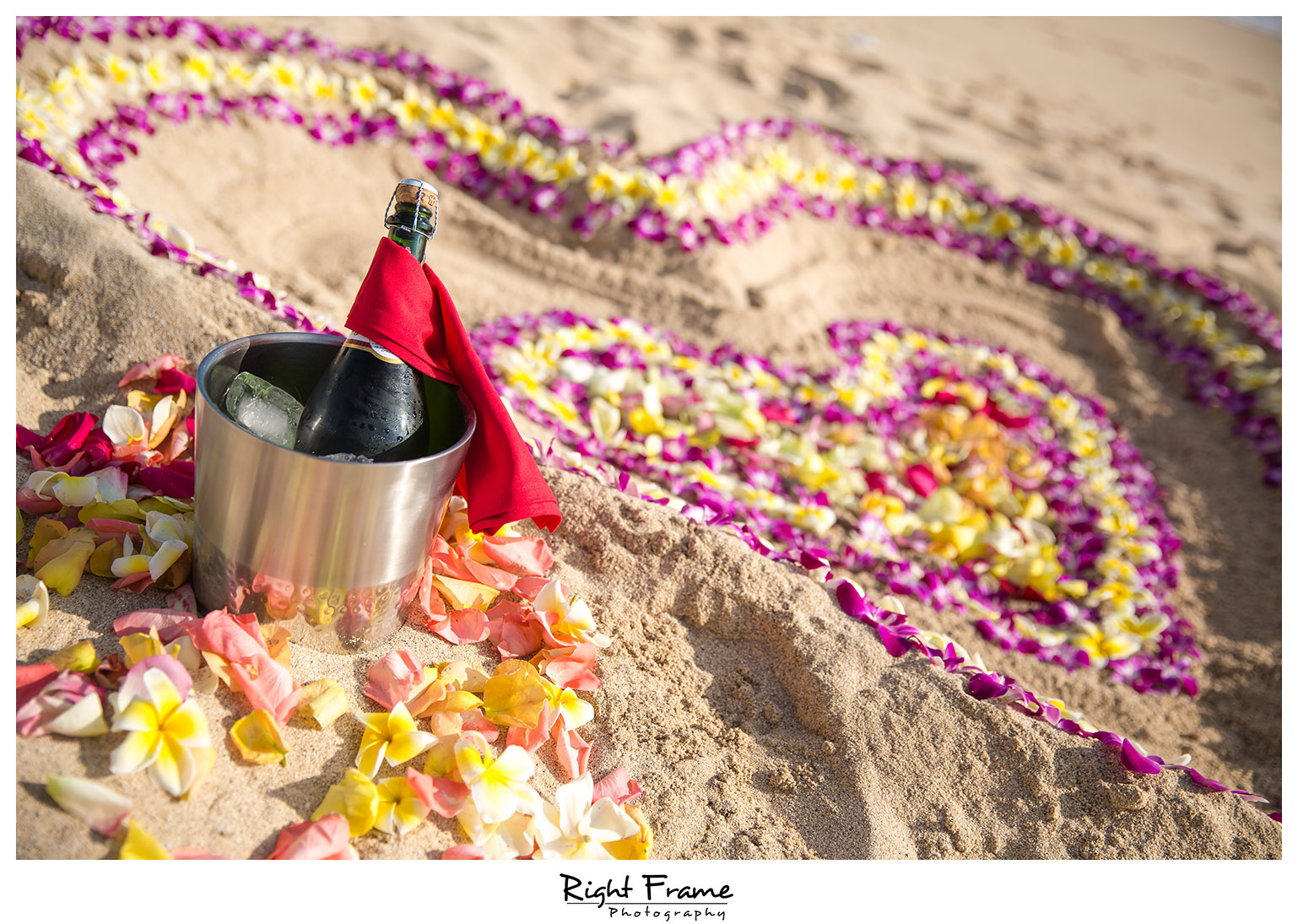 Romantic Surprise Hawaii Engagement Proposal