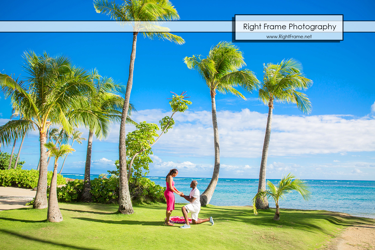 Secret Proposal Photography in Hawaii Oahu
