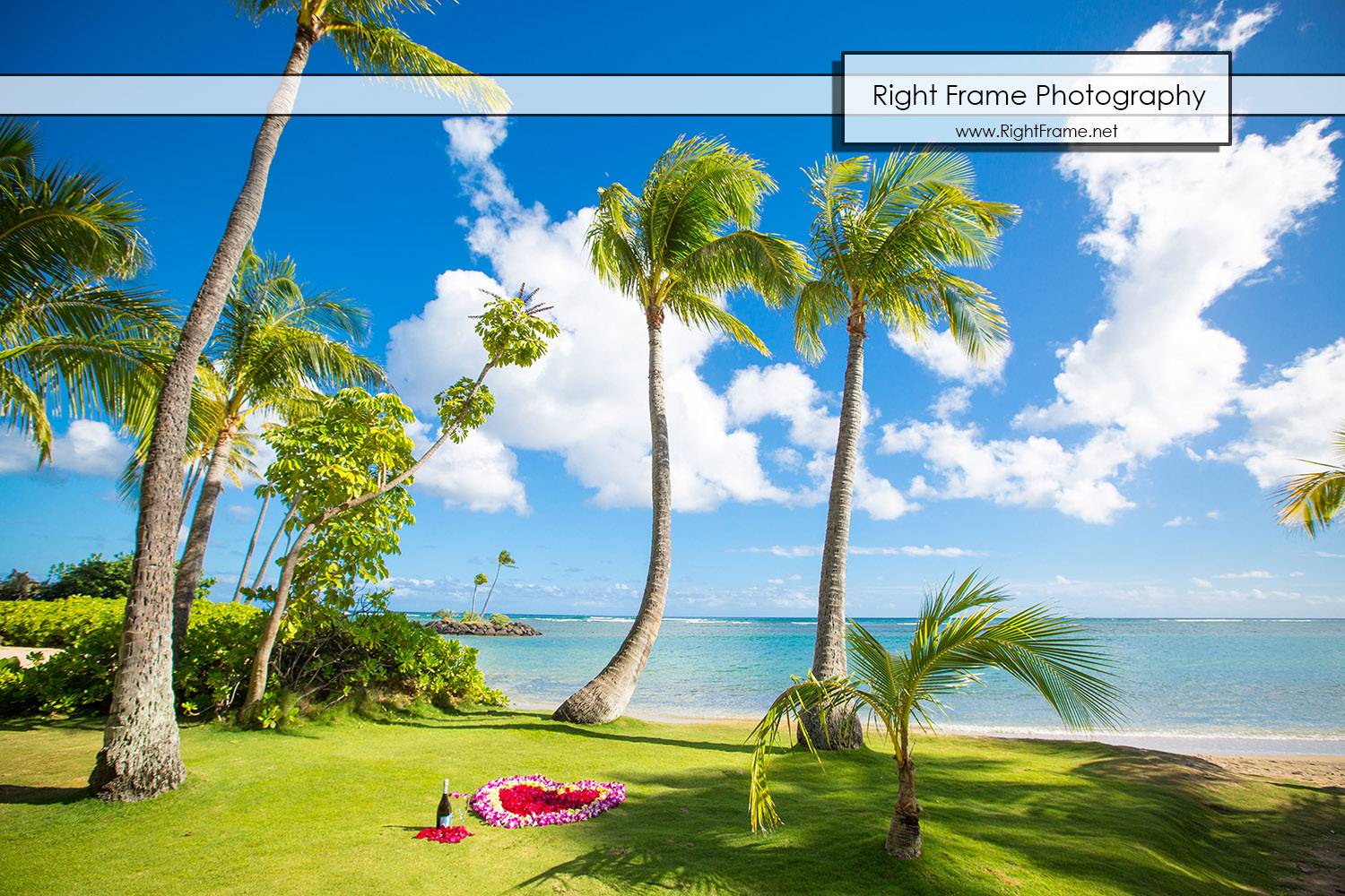 Secret Proposal Photography in Hawaii Oahu