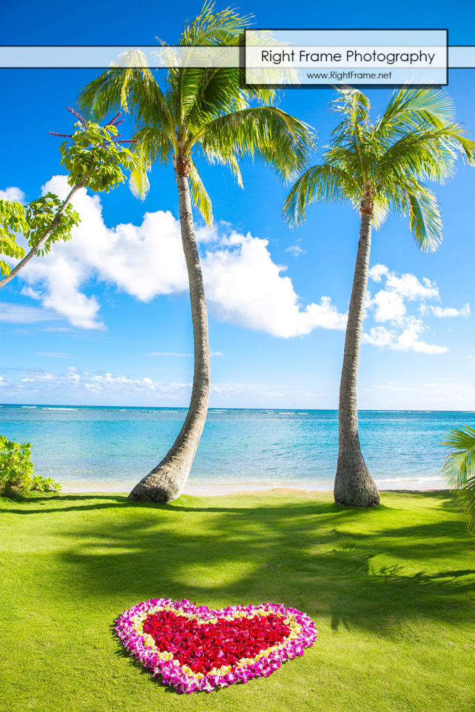 Secret Proposal Photography in Hawaii Oahu