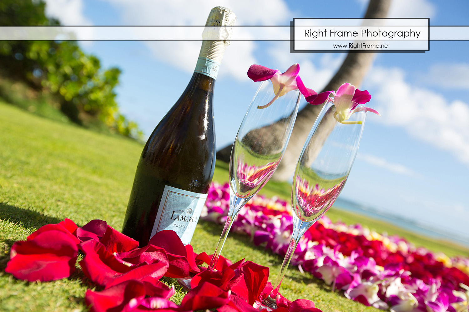 Secret Proposal Photography in Hawaii Oahu
