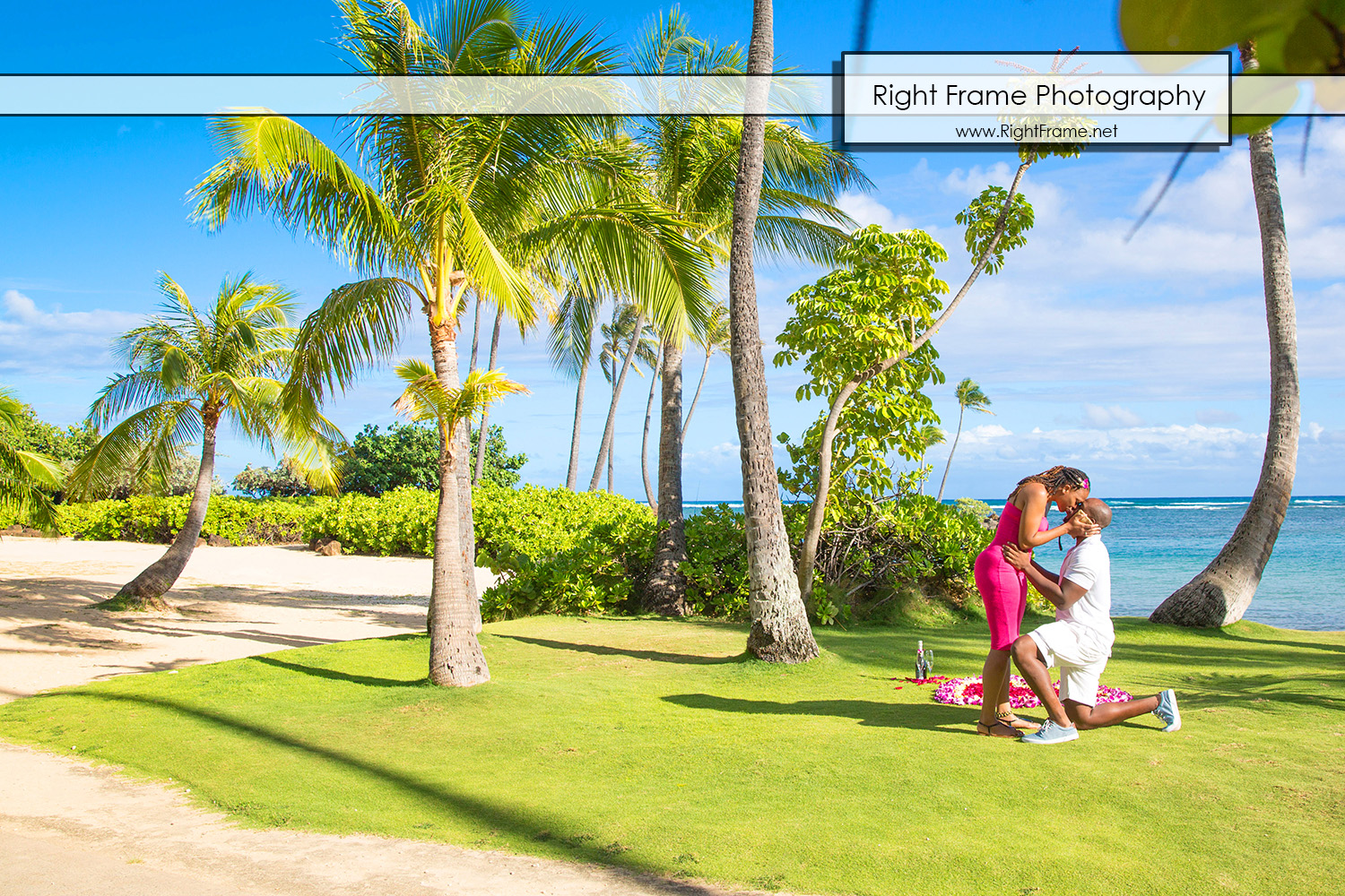 Secret Proposal Photography in Hawaii Oahu