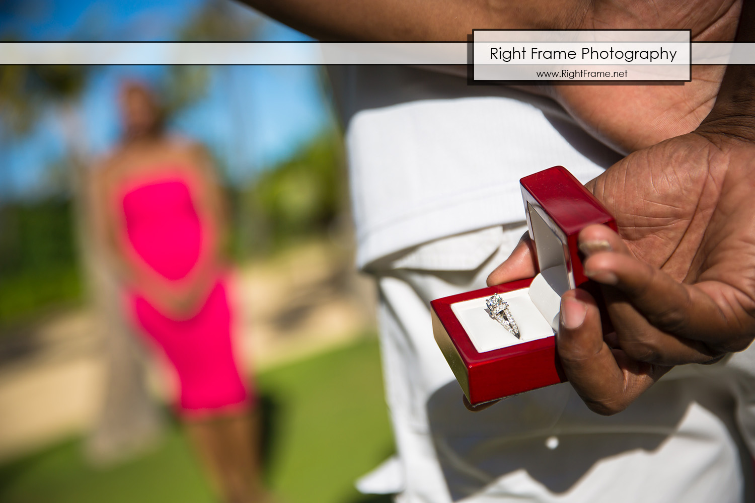 Secret Proposal Photography in Hawaii Oahu