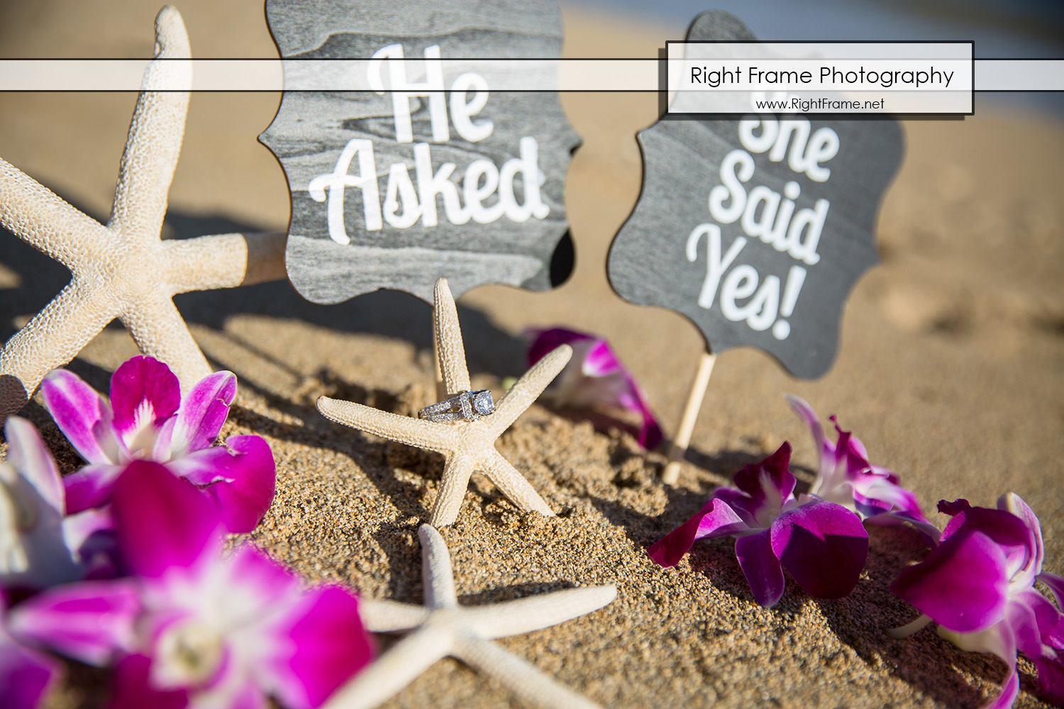 Secret Proposal Photography in Hawaii Oahu