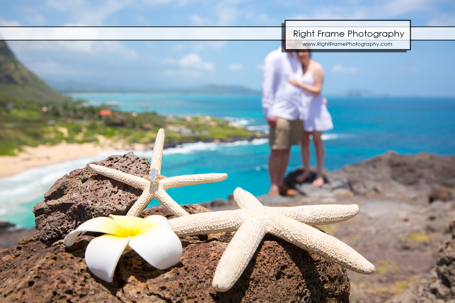 Surprise Marriage Proposal Makapu'u Lookout Oahu