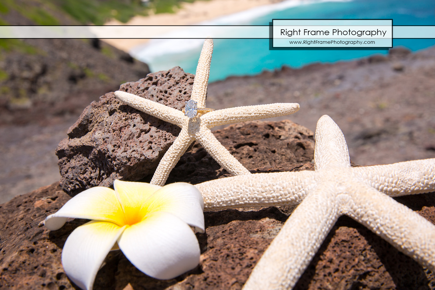 Surprise Marriage Proposal Makapu'u Lookout Oahu